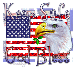 03eagleflag-safe_lrc.gif